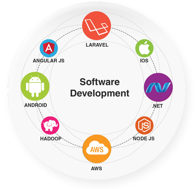 software development management